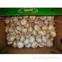 Neuer frischer Knoblauch Jinxiang